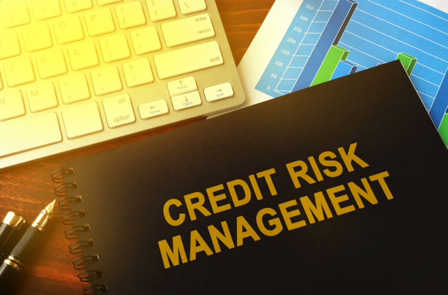 Your Money: Performing Credits Carry Higher Risks 