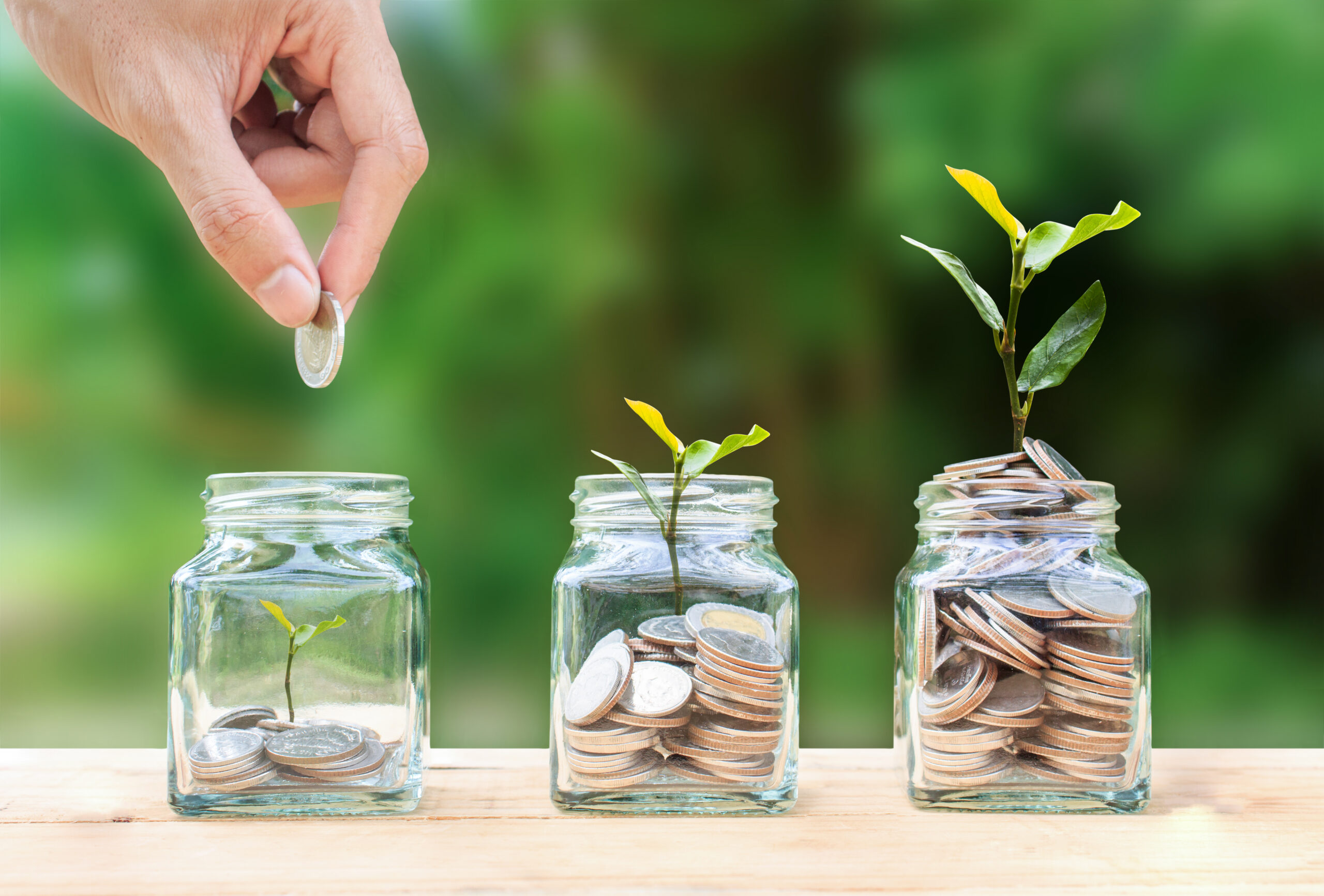 Guide To Build Your MF Portfolio