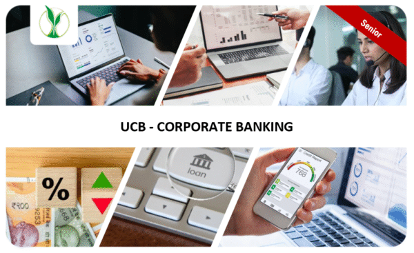 "UCB Corporate Banking Senior"