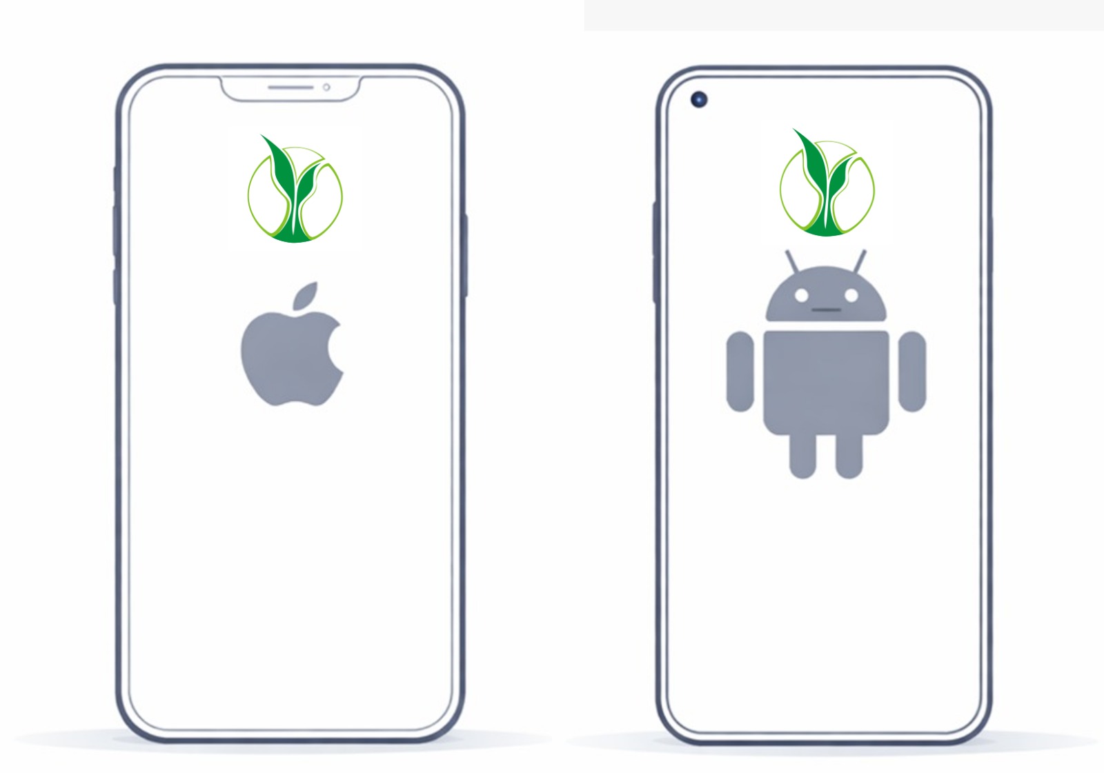 iOS Launch
